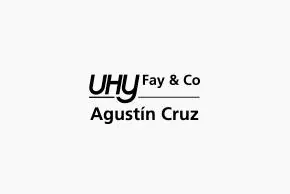 UHY Fay & Co