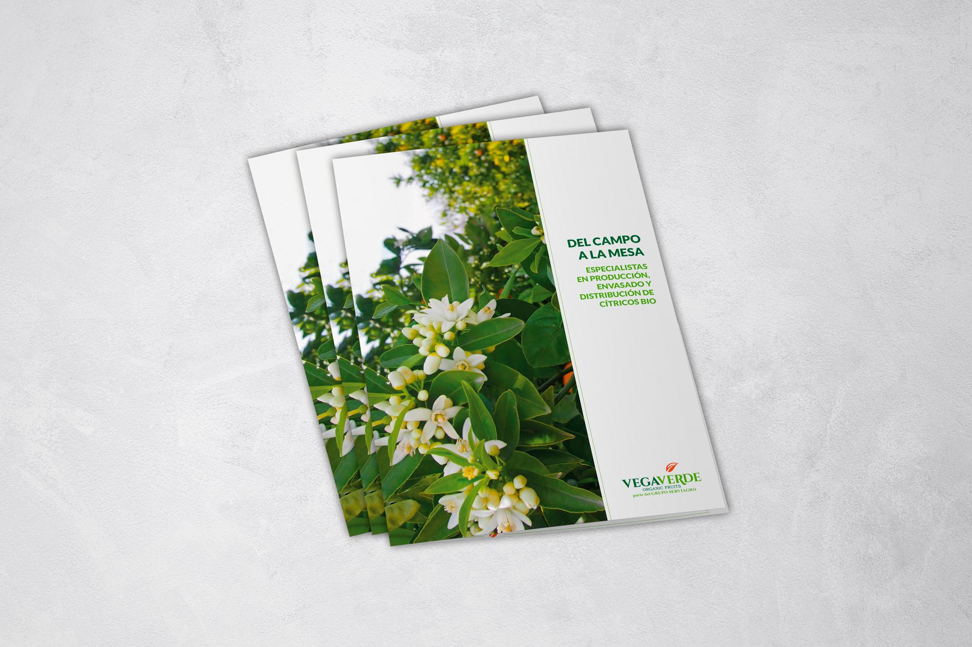 Vegaverde Brochure Fans Marketing Málaga