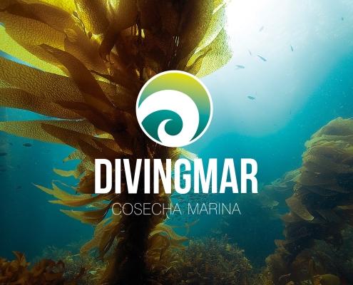 DIVINGMAR FANS MARKETING MÁLAGA
