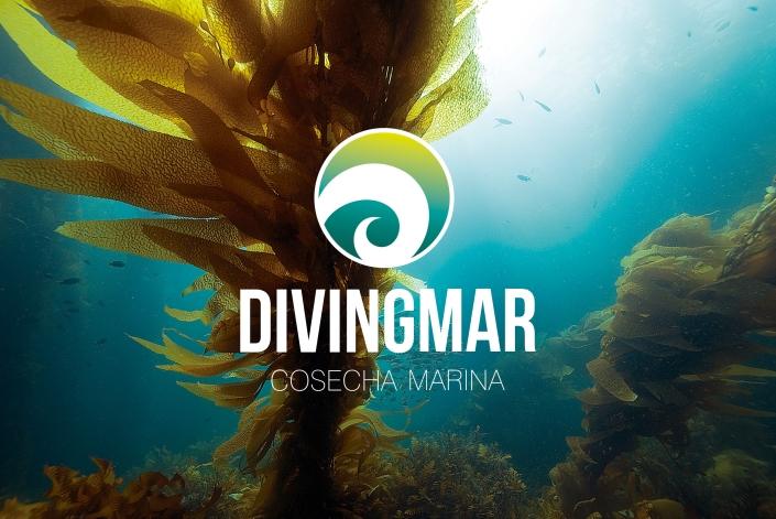 Agencia marketing malaga DIVINGMAR FANS MARKETING MÁLAGA