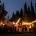 Finca Las Yeguas - Web - FANS Marketing