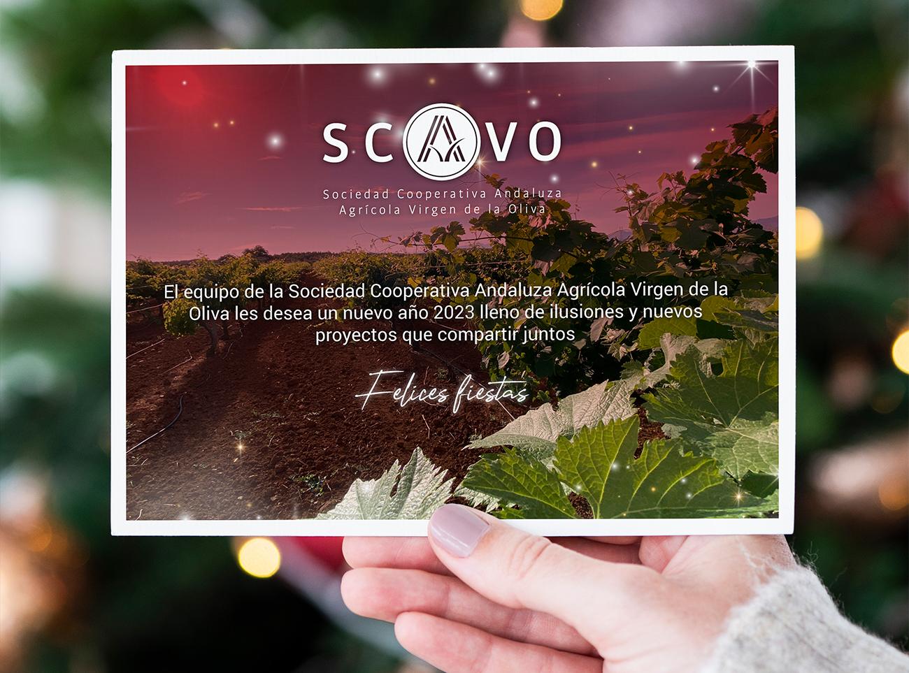 IDEAS CAMPAÑAS MARKETING NAVIDEÑO FANS MERKETING MALAGA