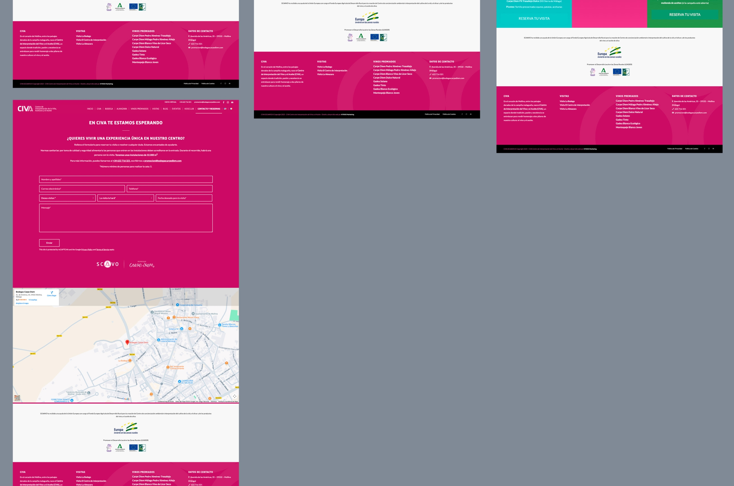 Web CIVA