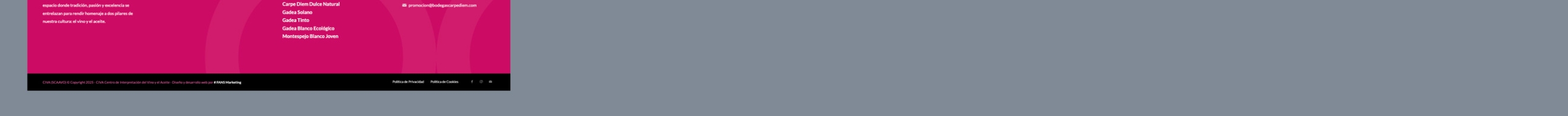 Web CIVA